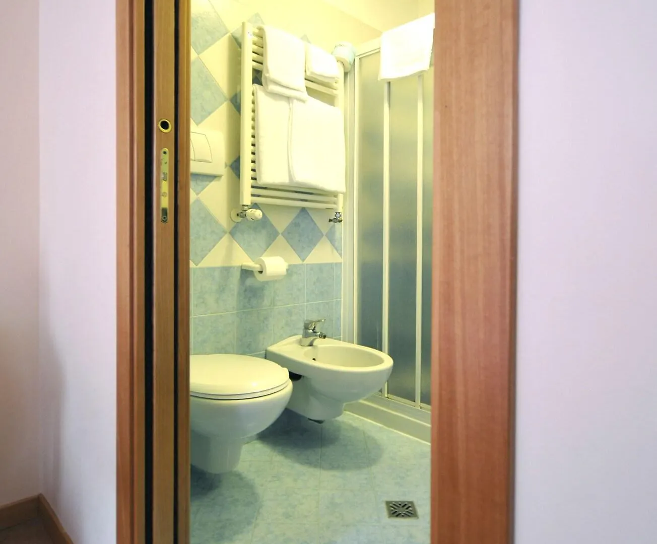 Ca' Leon D'Oro Hotel Venice 3*,